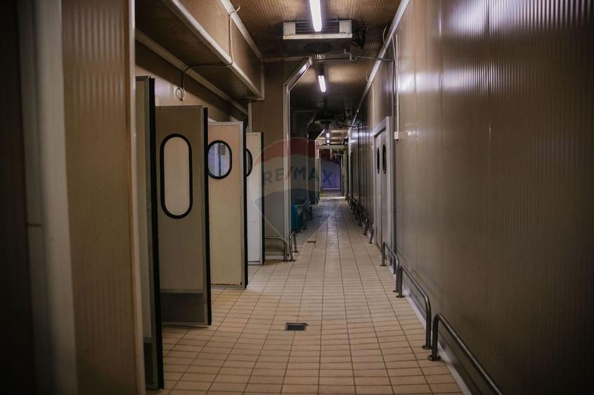 De vânzare AFACERE la cheie--CARMANGERIE--ABATOR--PREPARARE MEZELURI - 5