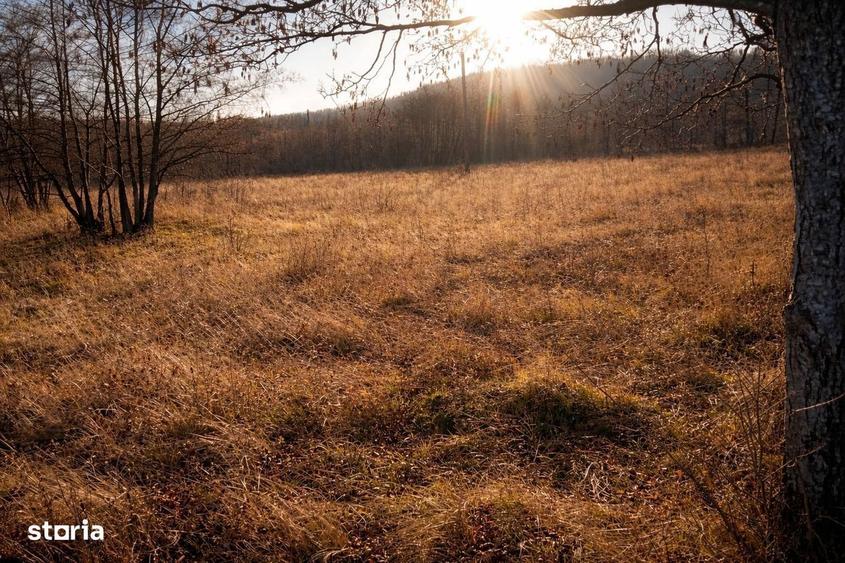 Teren extravilan | Vicovu de Jos | Pret 25.000 - 5