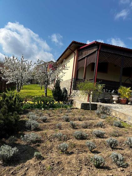 imobiliare vanzare - 6