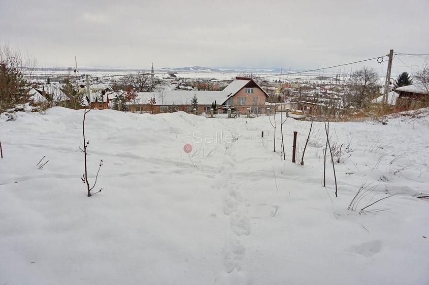 Teren Intravilan - Pretabil Dezvoltare Rezidentiala - 6