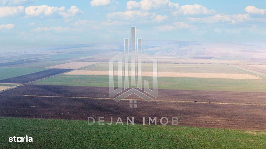 5 Ha | Teren extravilan | Langa Fabrica Reci - 5