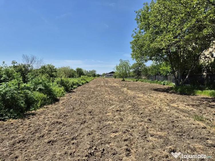 Teren intravilan 2658 mp cu bransament electric trifazic ... - 5