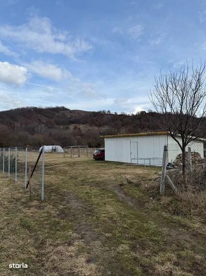 Teren intravilan/extravilan 2000 mp , Luna de Sus - 3