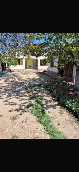 Casa de vanzare comuna Tifesti,sat Batinesti - 2