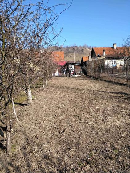 casa de vanzare + garaj + anexe - 3