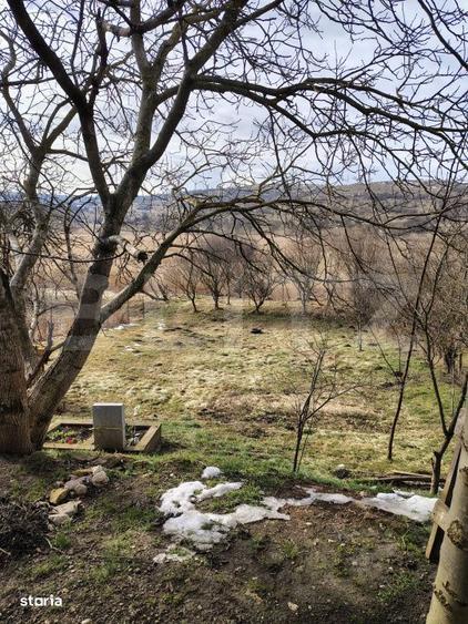 Casa semifinisata individuala 100 mp utili, teren 903 mp, Martinesti - 4