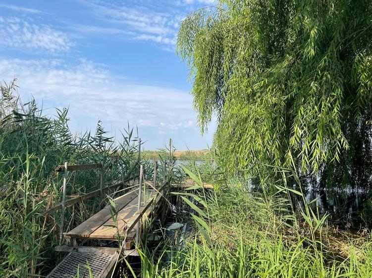 Dragoesti, jud Ialomita - 4