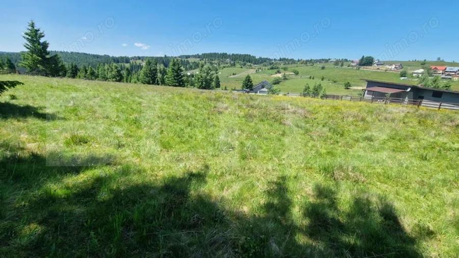 Teren extravilan, 5800 mp, Marisel - 2