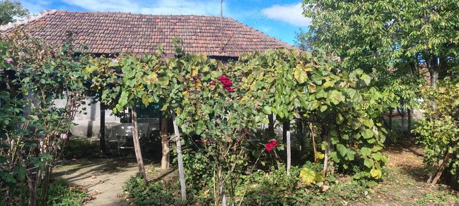 Casa de vanzare in ilovat, mehedinti - 4