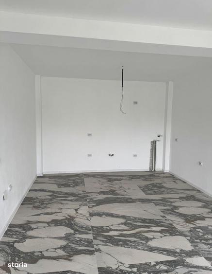 Casa Simnicu de Sus - 4