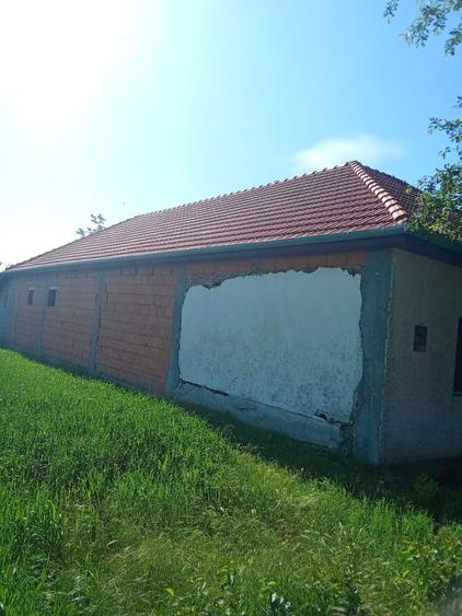 Casa de vanzare Peregu Mare - 8