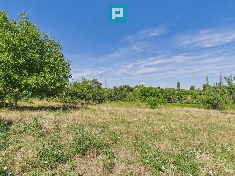 Teren 4919 mp– Comuna Călacea - 1