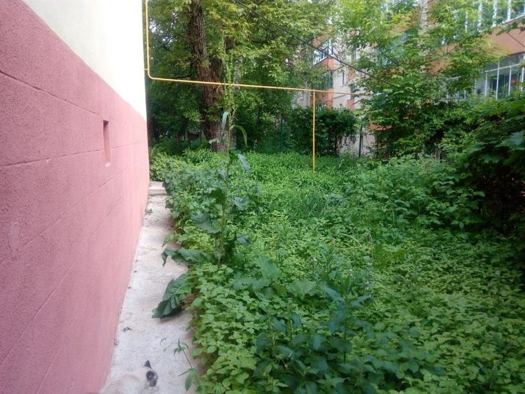 Proprietar, ap 2 cam in casa veche, Mărășești, singur curte - 12