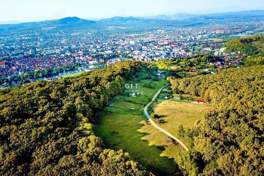 Teren , sub liziera padurii. Str. Tabara, 7 min. de Centru Pietonal - 5