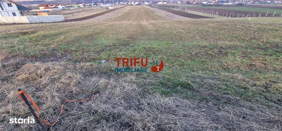 Teren de vanzare Zona Barabant! - 5