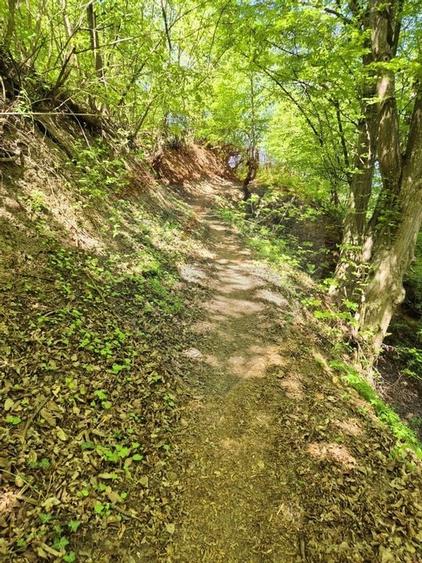 Teren intravilan 1,577mp Brasov / Schei/  constructii fara fundatie! - 6