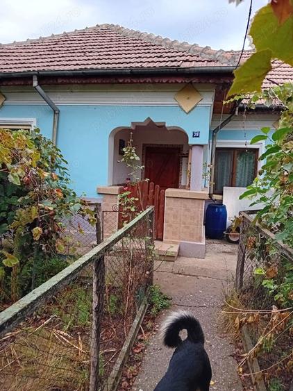 Vand Casa Caracal - 7