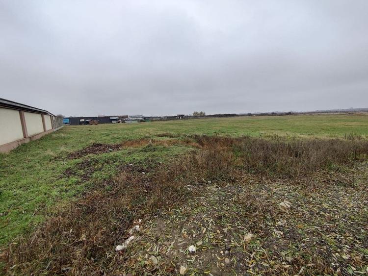 Teren 4588 mp, Remetea Mare Comision 0% - 1