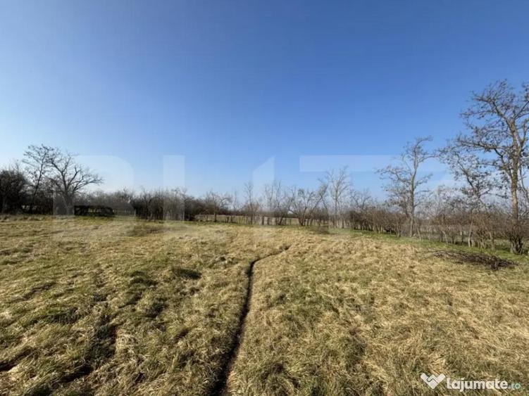 Teren intravilan, 500 mp, zona Beregsau Mare - 2