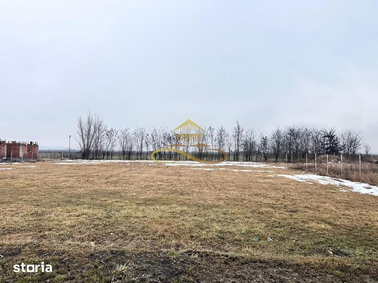Teren de 900 mp, în Săucești