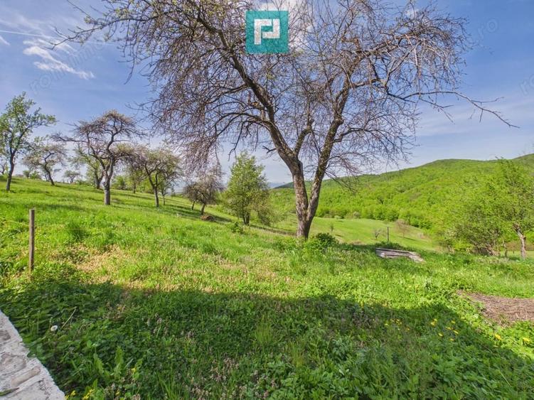 Casă cu Teren 2000 Mp în Dulcele