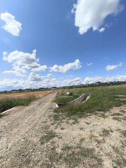 Teren Construcții intravilan de 7100 mp, în Păulești