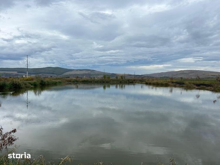Teren de 20500 mp, în Moldovenești