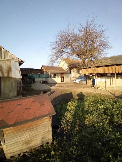 Casa de vanzare in Petresti, jude?ul Cluj - 4