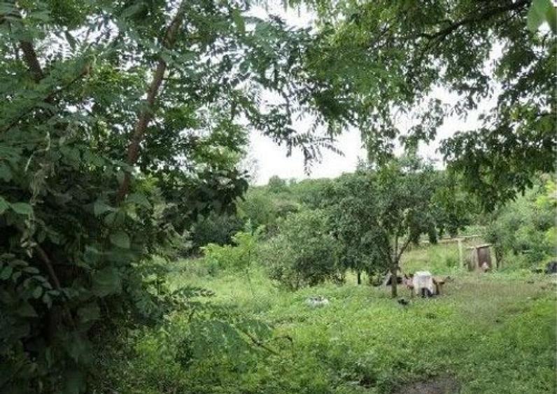 Casa si teren Costinesti, Botosani, ID: R2728052 - 21