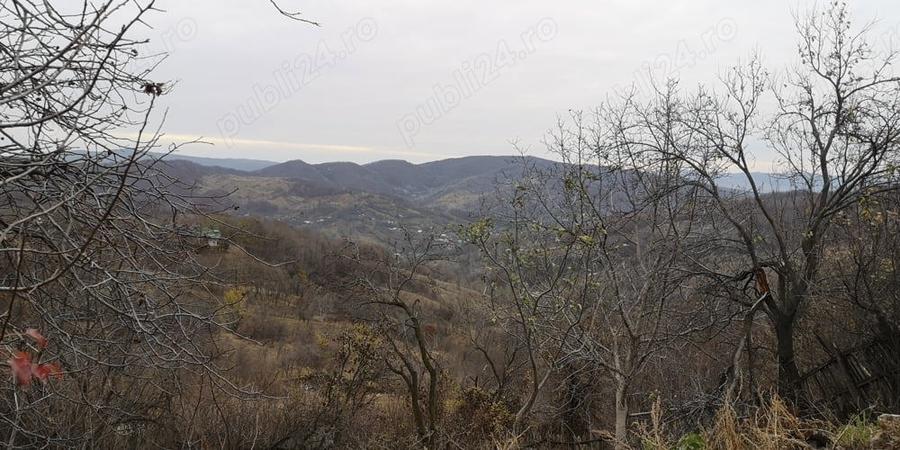 Casa de vanzare Salcia Prahova - 4