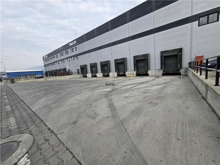 Spatiu Industrial - 3200 mp - Logistica - Depozitare - Distributie - 4
