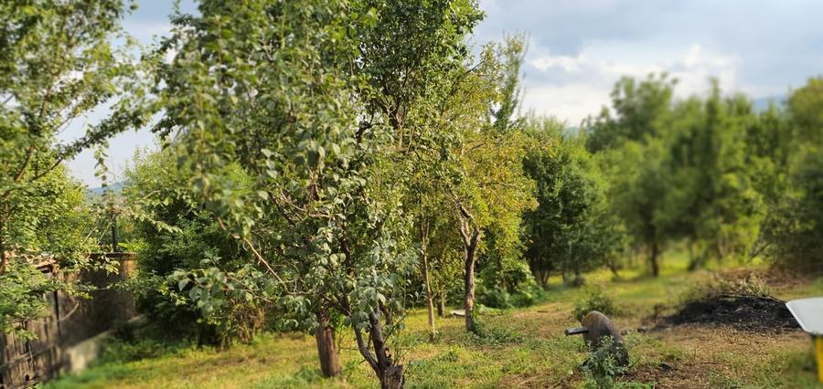 Teren Construcții intravilan de 640 mp, în Cisnădie