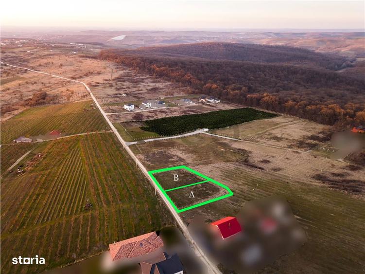 RECO Teren intravilan in Saldabagiu de Munte - 14