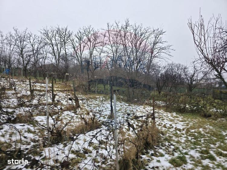 Teren intravilan 4,516mp Doina - 4