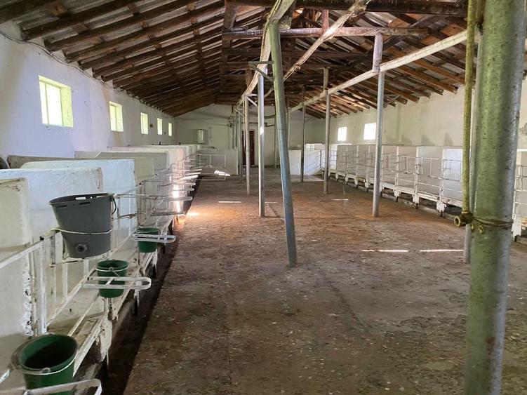 Teren Dezvoltare Hale/Industrial - 2