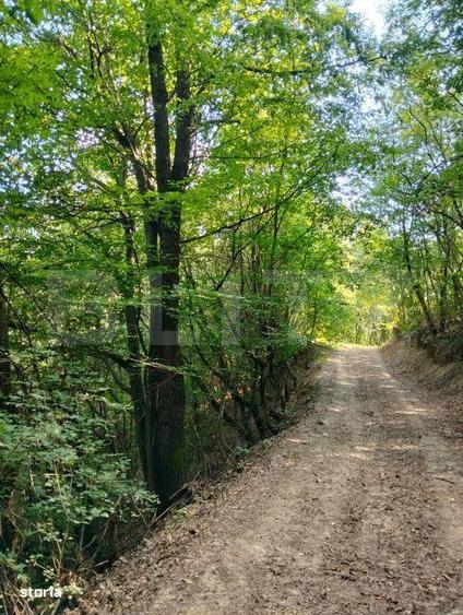 Teren generos de 70290 mp, 5045 mp intravilan, Poiana Ampoiului, Metes - 1