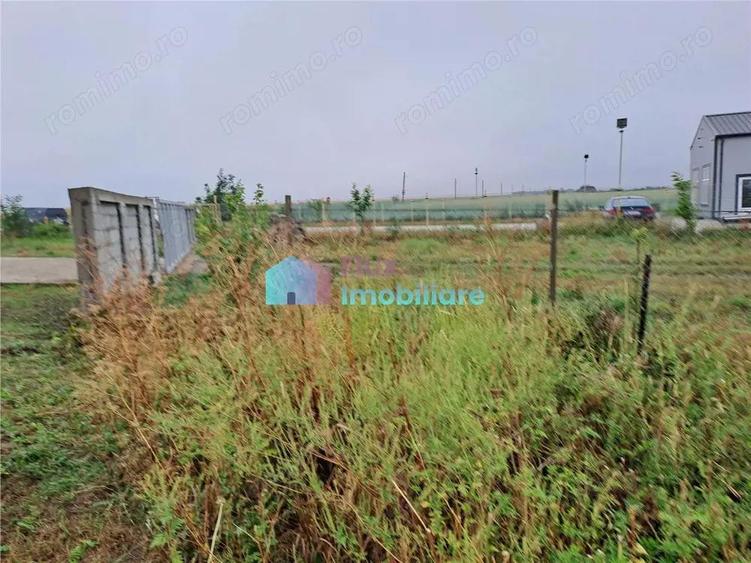 Teren intravilan 2700 mp Dumbraveni - 4