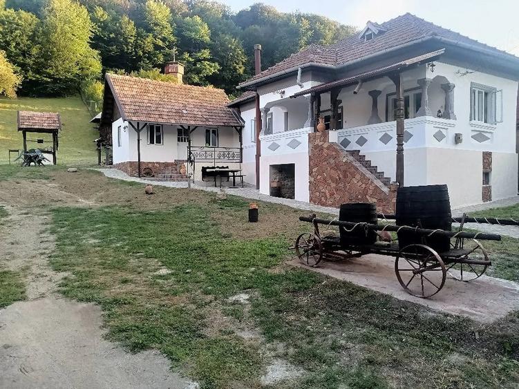 Casă cu Teren 2000 Mp în Bujoreni