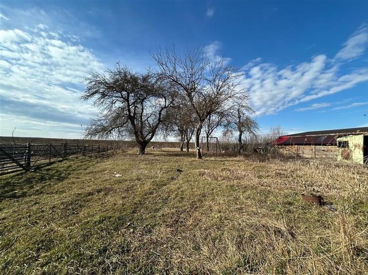 Comision 0%Casa traditionala, la 25 km de Brasov - 5