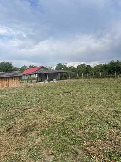 Teren intravilan Tutora - PF - 7