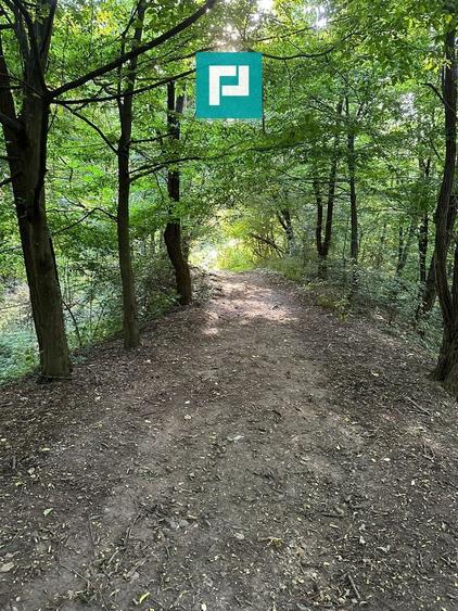 Teren Intravilan, în orașul Sebiș, Arad - 31