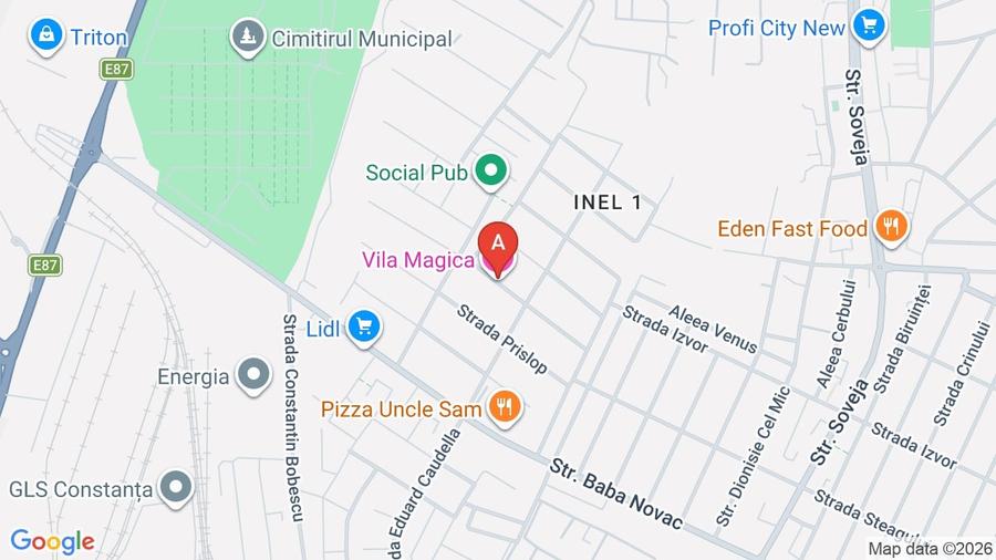 Vand urgent casa p+1 zona camsas langa Vila Magic - 1