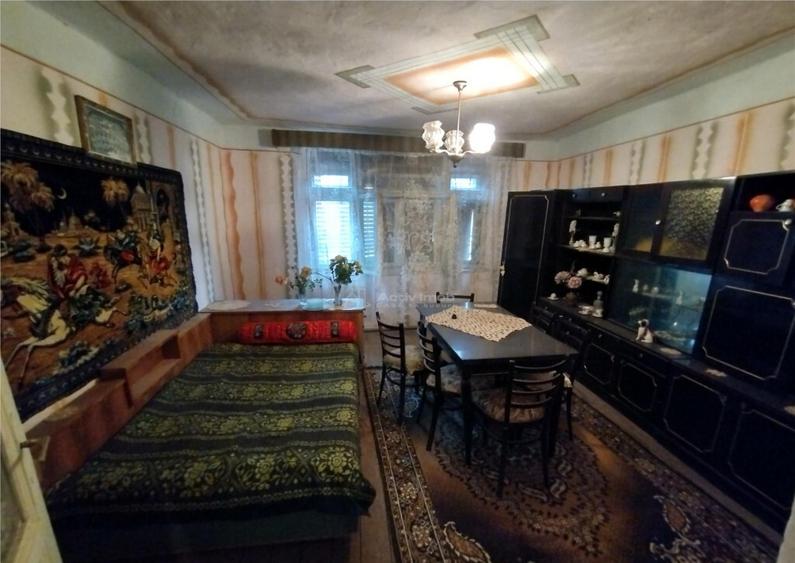 Bogodint, Casa 440mp cu 4 Hectare Teren, Pret Negociabil - 4