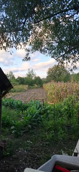 Casa de vanzare cu anexe - 3