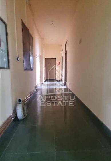 Spatiu birouri sau comercial in localitatea Pancota - 11