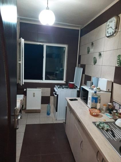 Lacul Tei, stradal, aproape Parcul Circului - 6