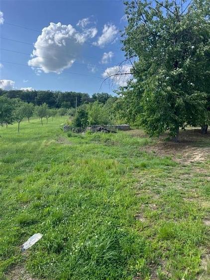 RECO TEREN CU PIVNITA IN PETREU - 3