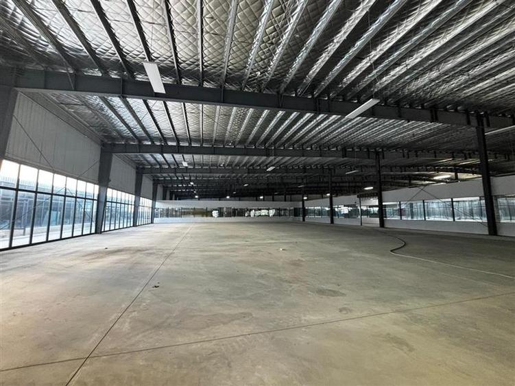 Inchiriere depozit/hala/spatiu industrial/showroom Afumati - DN2 - Dorally, Ilfo - 4