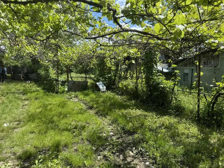 Casa de vanzare! - 3