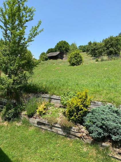 Casa  P+M, cu teren de 9721 mp - 10